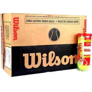 Wilson Sporting Goods Championship Extra Duty Tennis Balls  24-Cans  NEW Case