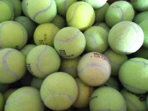 75 Dead Used TENNIS BALLS Serving Dogs toys dog play fetch games bottom walkers